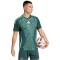 adidas FAF Algerien Auswärtstrikot 2024 Herren IT2733 - mineral green XS