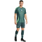 adidas FAF Algerien Auswärtstrikot 2024 Herren IT2733 - mineral green XS