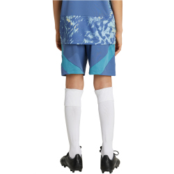 adidas Ajax Amsterdam Ausw&auml;rtsshorts 2024/25 Kinder ADWD - creblu 128