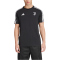 adidas Juventus Turin DNA T-Shirt 2024/25 Herren IY4120 - black M
