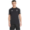 adidas Juventus Turin DNA T-Shirt 2024/25 Herren 095A - black XL