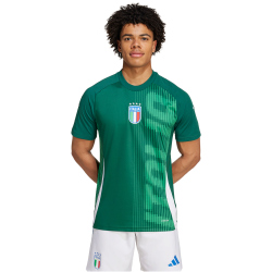 adidas FIGC Italien Aufw&auml;rmshirt 2024/25 Herren AD8T - drkgrn S