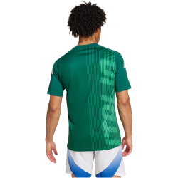 adidas FIGC Italien Aufw&auml;rmshirt 2024/25 Herren AD8T - drkgrn S