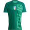adidas FIGC Italien Aufw&auml;rmshirt 2024/25 Herren AD8T - drkgrn S