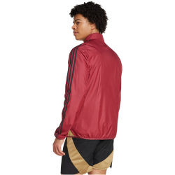 adidas RBFA Belgien Einlaufjacke 2024/25 Herren AEPW - tecobu/sanstr XS