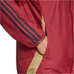adidas RBFA Belgien Einlaufjacke 2024/25 Herren AEPW - tecobu/sanstr XS