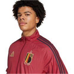 adidas RBFA Belgien Einlaufjacke 2024/25 Herren AEPW - tecobu/sanstr XS