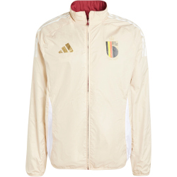 adidas RBFA Belgien Einlaufjacke 2024/25 Herren AEPW - tecobu/sanstr XS