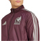 adidas FMF Mexiko Einlaufjacke 2024/25 Herren A5N1 - darkburgu/lingrn XS