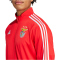 adidas SL Benfica Lissabon DNA Trainingsjacke 2024/25 Herren 3000 - benred/white L