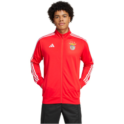 adidas SL Benfica Lissabon DNA Trainingsjacke 2024/25...