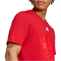 adidas FC Bayern M&uuml;nchen DNA Graphic T-Shirt 2024/25 Herren AEPU - tepore XS