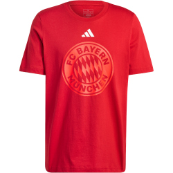 adidas FC Bayern M&uuml;nchen DNA Graphic T-Shirt 2024/25...