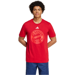 adidas FC Bayern M&uuml;nchen DNA Graphic T-Shirt 2024/25...