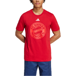 adidas FC Bayern M&uuml;nchen DNA Graphic T-Shirt 2024/25...