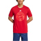 adidas FC Bayern M&uuml;nchen DNA Graphic T-Shirt 2024/25 Herren IS6509 - team power red 2 XS
