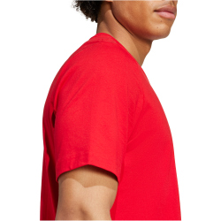 adidas FC Arsenal DNA Graphic T-Shirt 2024/25 Herren...