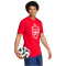 adidas FC Arsenal DNA Graphic T-Shirt 2024/25 Herren IS6506 - better scarlet XS