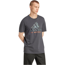 adidas FC Bayern M&uuml;nchen SZN Graphics T-Shirt 2024/25 Herren A0TV - dkgrey XS