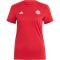 adidas FC Bayern München 3-Streifen T-Shirt 2024/25 Damen IT4147 - team power red 2 XS