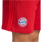adidas FC Bayern M&uuml;nchen DNA Sweatshorts 2024/25 Herren AEPU - tepore S