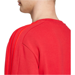 adidas FC Bayern M&uuml;nchen DNA Sweatshirt 2024/25 Herren AEPU - tepore S