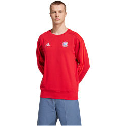adidas FC Bayern M&uuml;nchen DNA Sweatshirt 2024/25...