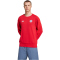adidas FC Bayern M&uuml;nchen DNA Sweatshirt 2024/25 Herren IT4144 - team power red 2 S