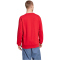 adidas FC Bayern M&uuml;nchen DNA Sweatshirt 2024/25 Herren IT4144 - team power red 2 S