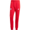 adidas FC Bayern M&uuml;nchen DNA Jogginghose 2024/25 Herren AEPU - tepore S