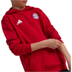 adidas FC Bayern M&uuml;nchen Hoodie 2024/25 Kinder AEPU - tepore 176