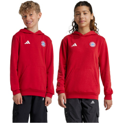 adidas FC Bayern M&uuml;nchen Hoodie 2024/25 Kinder AEPU - tepore 176