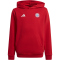 adidas FC Bayern M&uuml;nchen Hoodie 2024/25 Kinder AEPU - tepore 176
