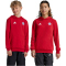 adidas FC Bayern M&uuml;nchen Hoodie 2024/25 Kinder AEPU - tepore 176