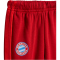 adidas FC Bayern München DNA Jogginganzug 2024/25 Kinder IT4132 - team power red 2 62