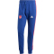 adidas FC Arsenal DNA Jogginghose 2024/25 Herren AE64 - vicblu S