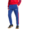adidas FC Arsenal DNA Jogginghose 2024/25 Herren AE64 - vicblu S