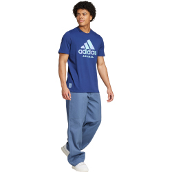 adidas FC Arsenal SZN Graphic T-Shirt 2024/25 Herren 669A - ngtsky XS