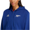 adidas FC Arsenal Einlaufjacke 2024/25 Damen AE64 - vicblu XS