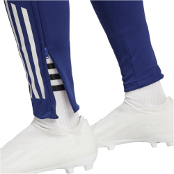 adidas Olympique Lyon Trainingshose 2024/25 Damen A7ZP - midind/brired/whitin XS