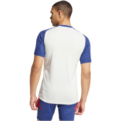 adidas Olympique Lyon Tiro 24 Trainingstrikot 2024/25 Herren AAJK - whitin/midind/brired 3XL