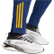 adidas Real Madrid Tiro 24 Competition Pr&auml;sentationshose 2024/25 Herren AEQ1 - tenabl/creora/globlu XS
