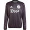 adidas Ajax Amsterdam Aufw&auml;rmshirt 2024/25 Herren 095A - black M