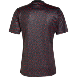 adidas Ajax Amsterdam Aufw&auml;rmshirt 2024/25 Herren 095A - black XS