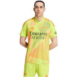 adidas FC Arsenal Torwarttrikot 2024/25 Herren A7CS - sesoye/multco XS