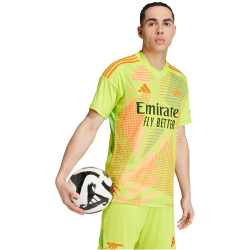 adidas FC Arsenal Torwarttrikot 2024/25 Herren A7CS - sesoye/multco XS