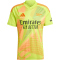 adidas FC Arsenal Torwarttrikot 2024/25 Herren A7CS - sesoye/multco XS