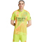 adidas FC Arsenal Torwarttrikot 2024/25 Herren A7CS - sesoye/multco XS