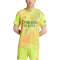 adidas FC Arsenal Torwarttrikot 2024/25 Herren A7CS - sesoye/multco XS