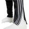 adidas Tiro 24 Winterized Trainingshose Damen IX7887 - black/light onix XS